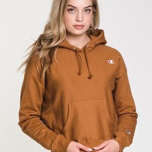 Champion hoodie